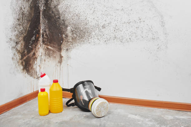 Mold Removal and Inspection in Center, CO