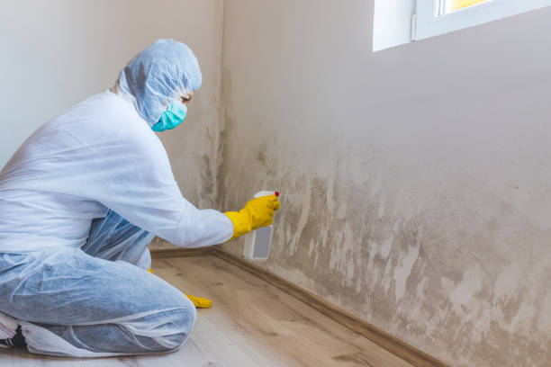 Home Mold Removal in Center, CO