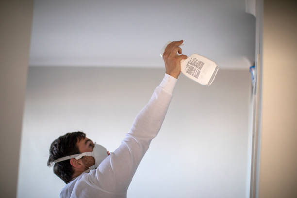 Best Mold Testing  in Center, CO