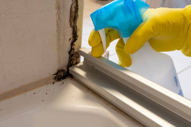 Crawl Space Mold Removal in Center, CO