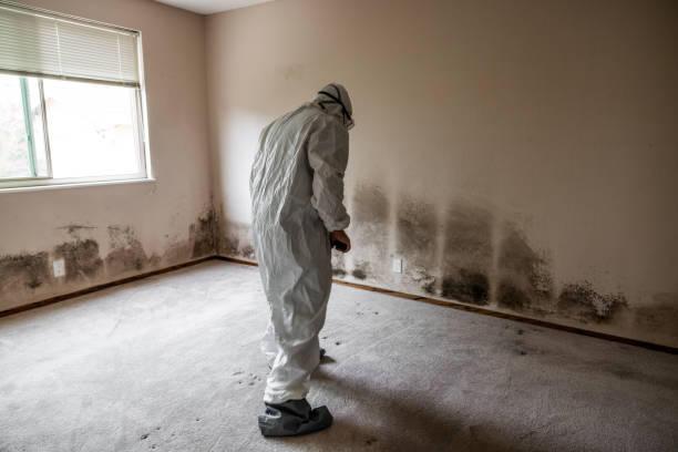 Best Local Mold Removal Service  in Center, CO