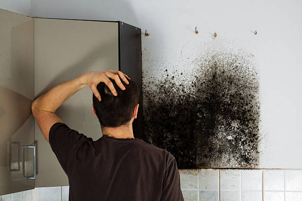 Best Crawl Space Mold Removal  in Center, CO